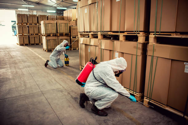 Professional Pest Control in Harwich Port, MA