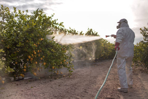 Insect Control in Harwich Port, MA